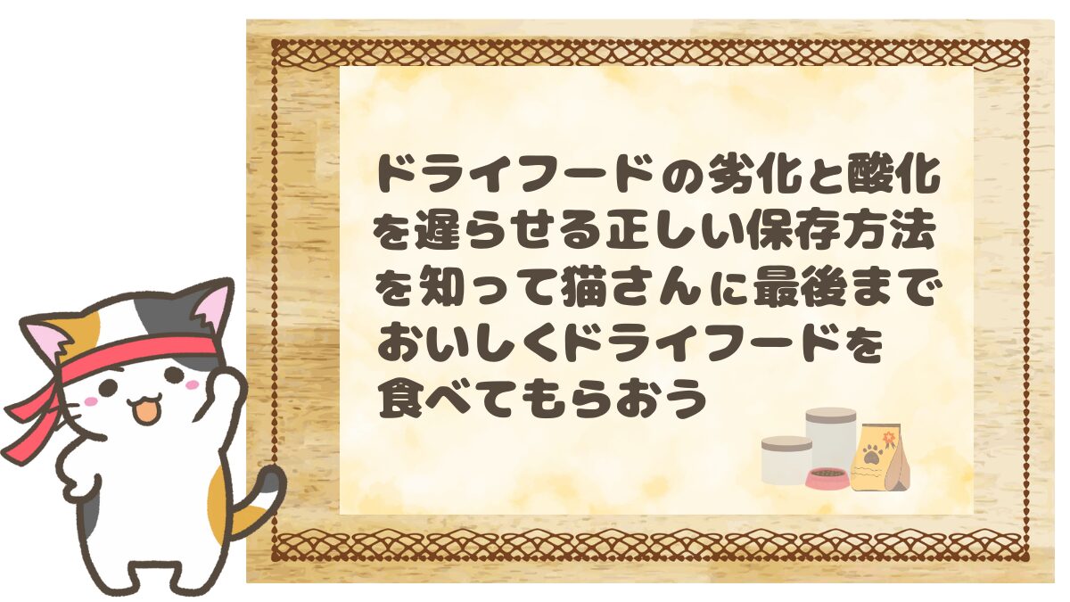 ドライフードの酸化と劣化を遅らせる正しい保存方法を知って猫さんに最後までおいしくドライフードを食べてもらおう